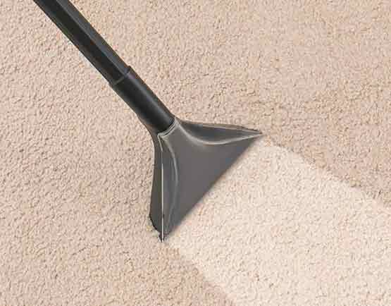  Carpets Cleaned By Professionals